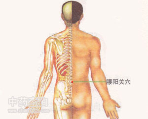 腰陽關(guān)穴位