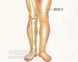 陰市穴位