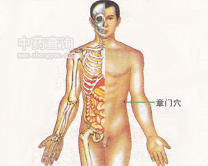 章門穴位