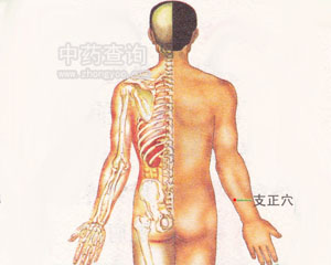 支正穴位