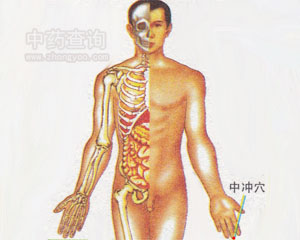 中沖穴位