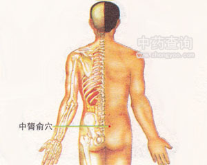 中膂俞穴位