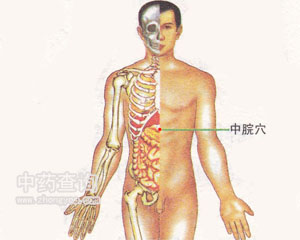 中脘穴位