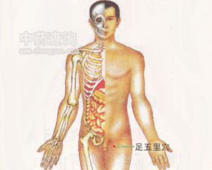 ������Ѩλ